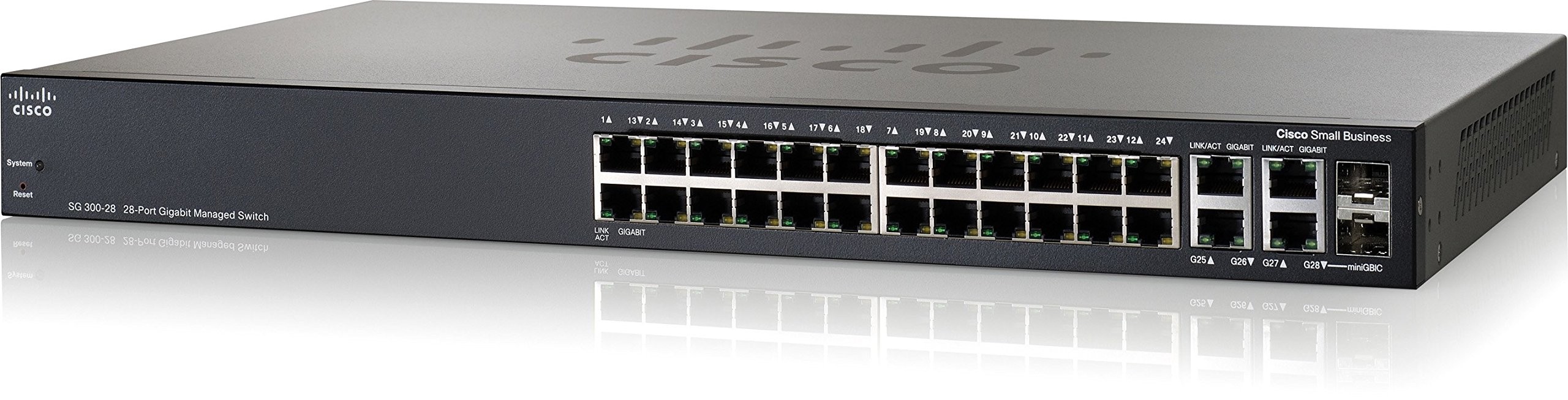SG300-28